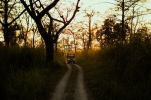 a truck driving down a dirt road through a forest
